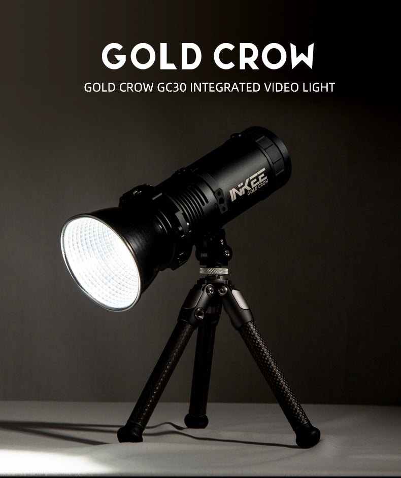 Inkee GC30 Bi-Color LED Monolight