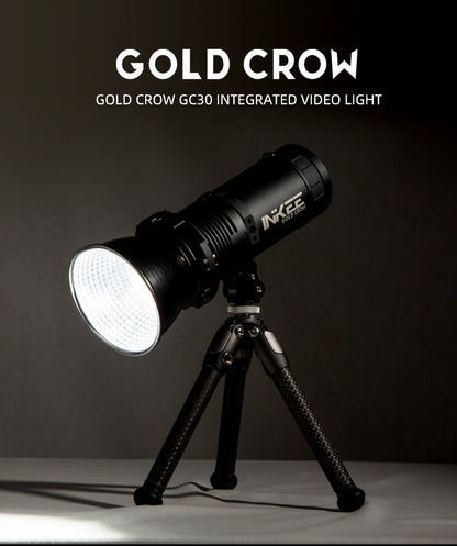 Inkee GC30 Bi-Color LED Monolight
